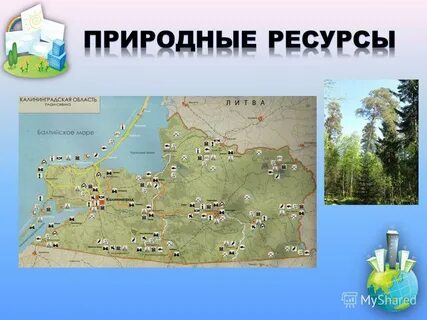 Калининградская область природные ресурсы