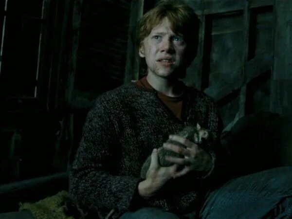 Короста рона уизли. Короста рона уизли. Рон уизли с крысой. Короста рона уизли. Рон уизли с крысой.