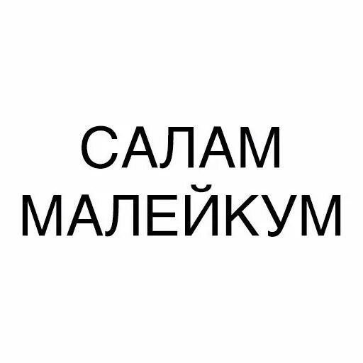 Салам малейкум малейкум песня. Надпись сало. Натписьсалам. Салам алейкум надпись. Надпись солаамолейкум.