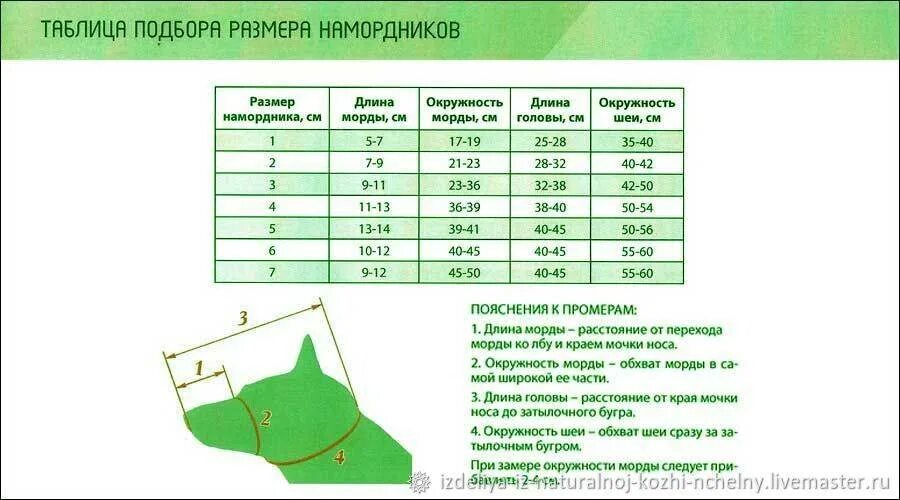 Как подобрать намордник по размеру. Как понять размер намордника для собаки. Размерная сетка намордник. Как узнать размер намордника для собаки. Как определить размер намордника для собаки овчарки.