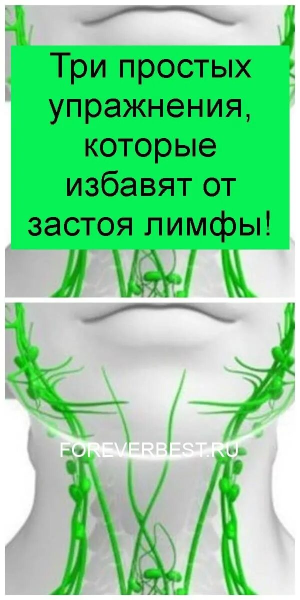 Разогнать лимфу упражнения. Лимфатическая система человека. Диета для очищения лимфы. Упражнения для живота для лимфотока. Упражнения для загнона лимфы.