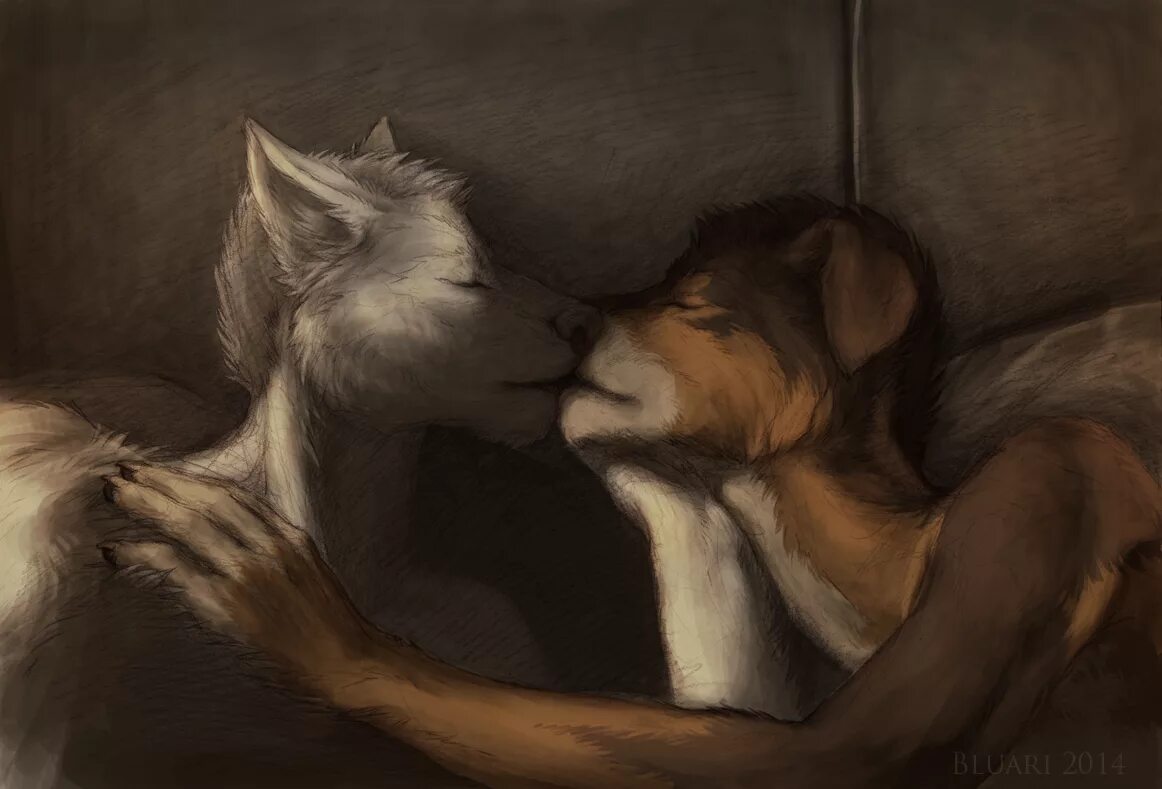 Furry gays 2. Волки любовь. Фурри любовь. Любовь волка и лисы. Фурри поцелуй.