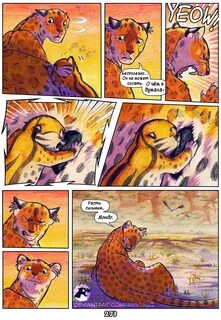 Дагестандық арабша порно онлайн