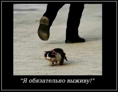 Спасла никто не помог