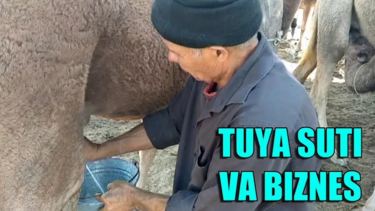 Не работает tuya