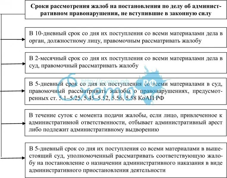 Сроки рассмотрения дела об административном правонарушении схема. Срок рассмотрения жалобы. Порядок подачи и рассмотрения административной жалобы. Административный порядок рассмотрения жалоб.