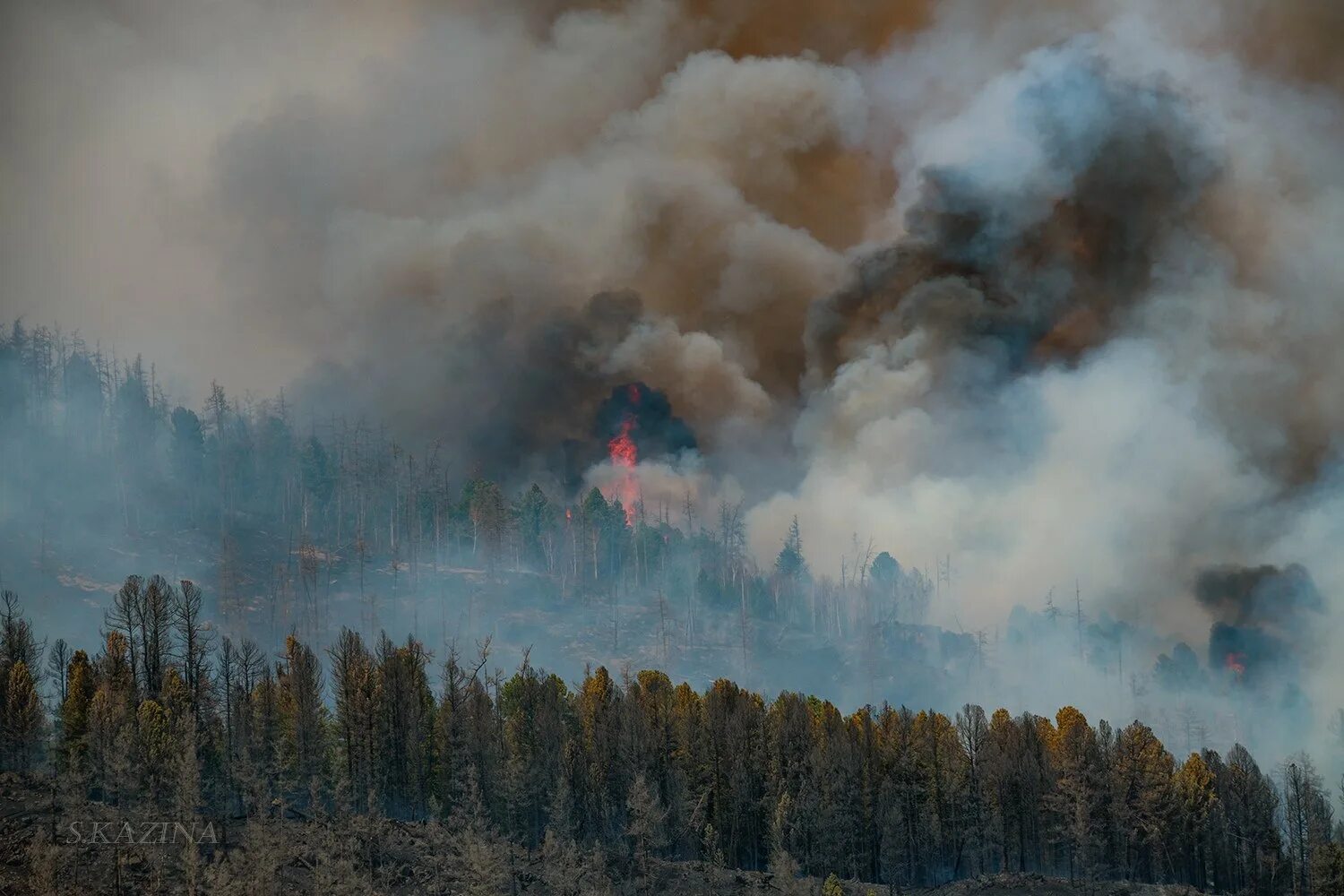 Вдали горит. Лесные пожары в Республике Алтай. Пожар в лесу Алтайский край. Природные пожары в России. Лесные пожары глобальное потепление.