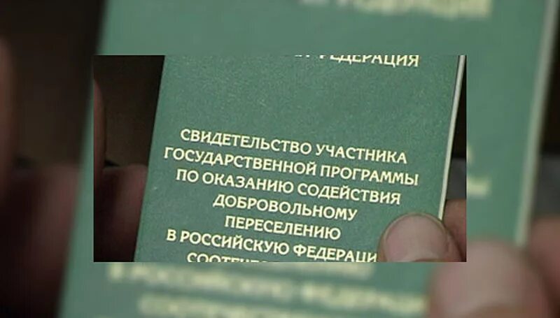 Программе добровольного переселения соотечественников в рф. Свидетельство участника государственной программы переселения. Программа по переселению соотечественников. Свидетельство участника госпрограммы. Оказание содействия добровольному переселению.