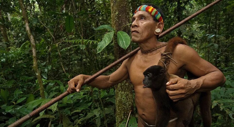 Негритянка в джунглях. Индейцы ваорани Эквадор. Ваорани, Первобытное племя. Эквадор ваорани племя ваорани.