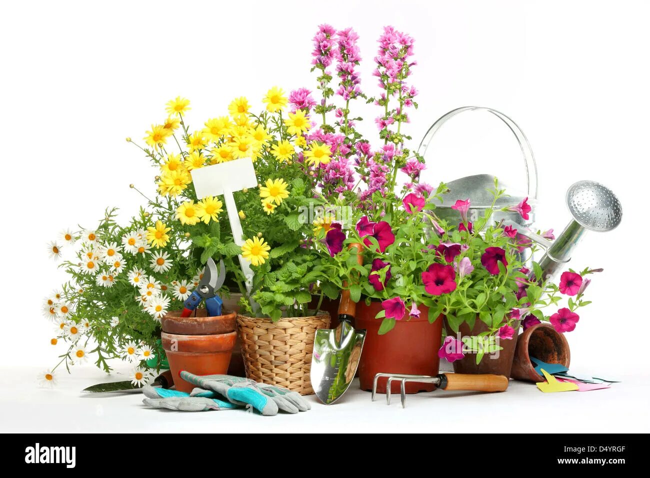 Товары для сада и огорода. Садово-огородный инвентарь. Товары для дачи и цветов. Инвентарь для огорода. Хозяйственный инвентарь.