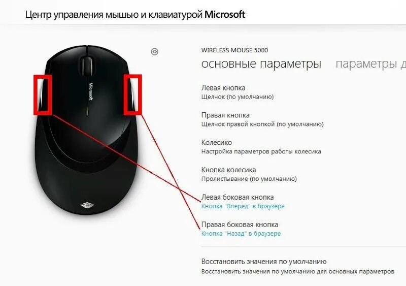 Как подключить беспроводную мышь usb. Беспроводная мышь для чего кнопка сбоку. Для чего нужны кнопки на мышке сбоку и сверху. Как включить беспроводные мышки. Как подключаются беспроводные мышки.