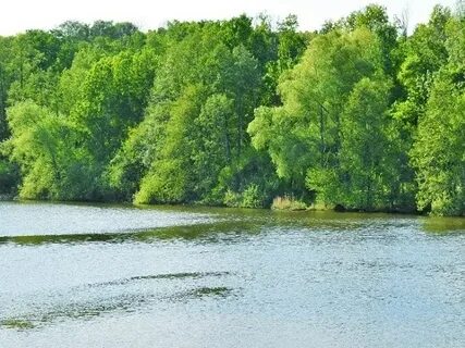 Вода мордовия