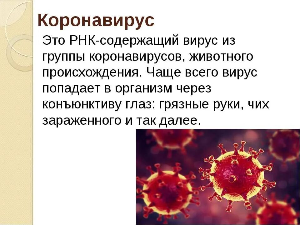 Коронавирус РНК. РНК содержащие вирусы. ДНК содержащие вирусы. ДНК И РНК содержащие вирусы. Вирусные инфекции описание
