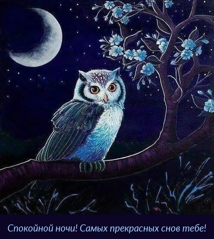 Спокойной ночи птицы. Ночная Сова.(Night Owl).1993. Спокойной ночи Сова. Лунная Сова. Красивые рисунки Совы.