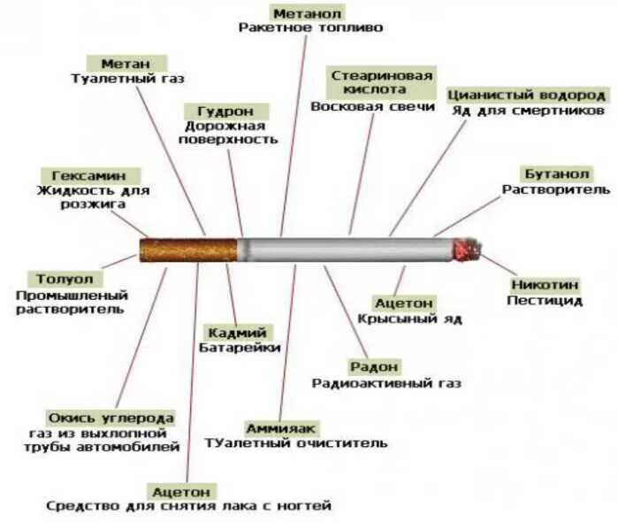 Состав сигареты химический состав. Из чего состоит сигарета состав. Строение сигареты составляющие сигареты. Состав сигареты кратко.