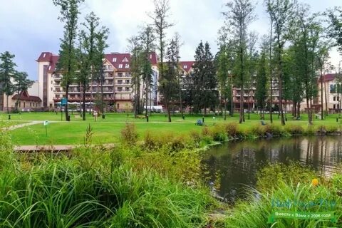 Ареал новая купавна