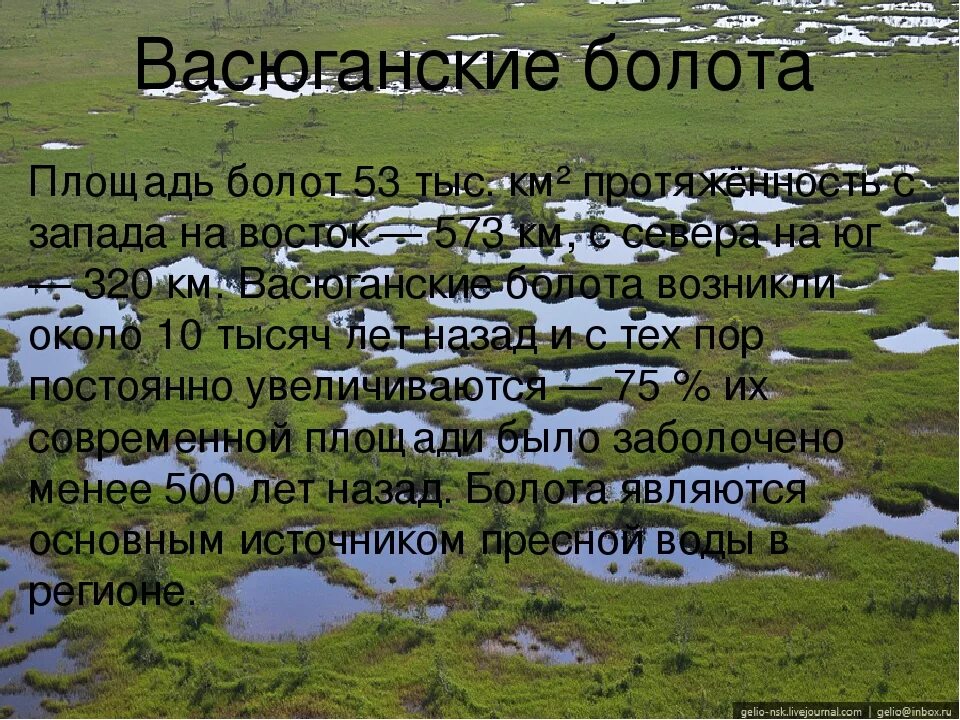 Топи где находится