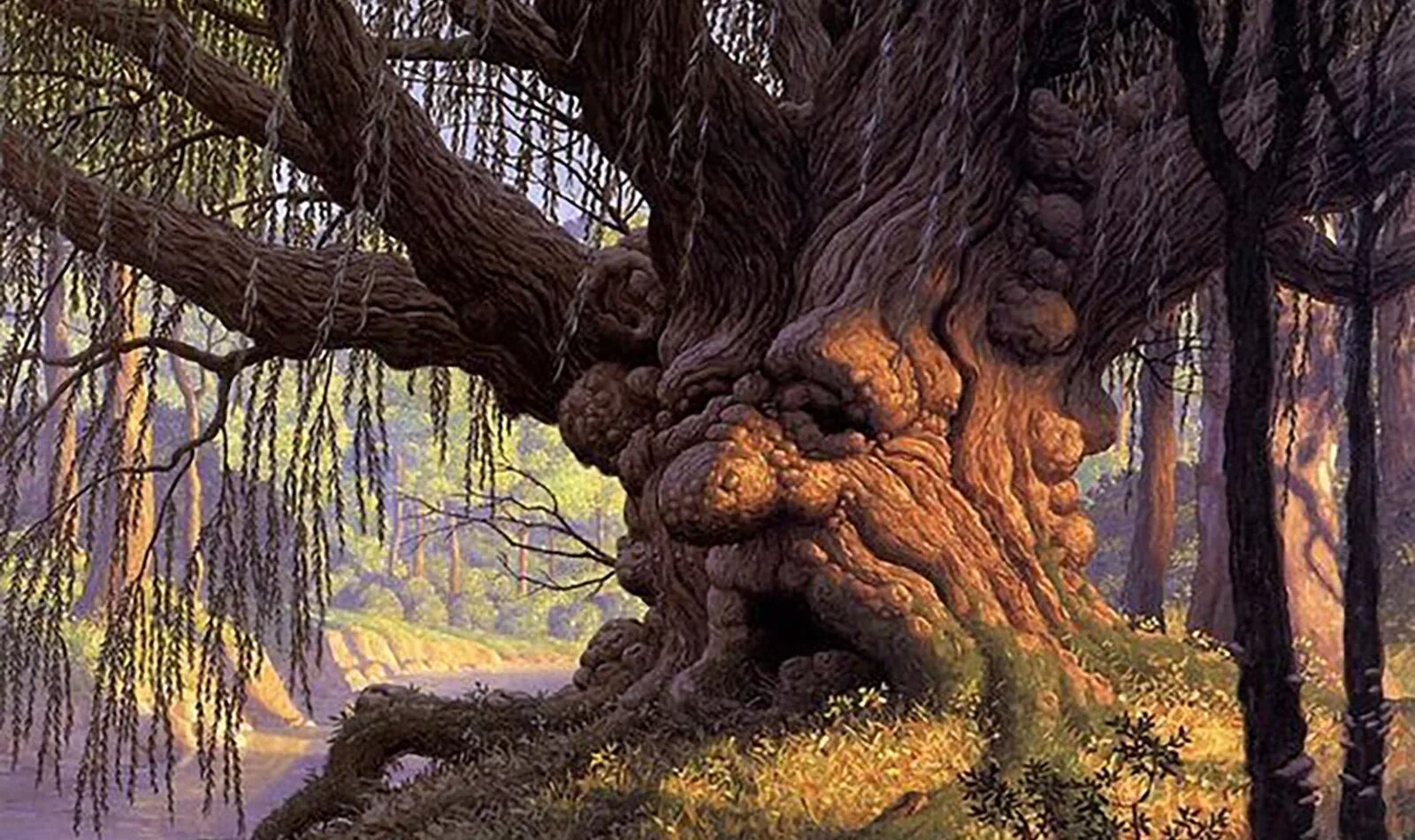 Бобби чиу. Мудрый дуб и шайлушай. Мудрый дуб с лицом. Энт древень властелин колец. Парень сидит под деревом.