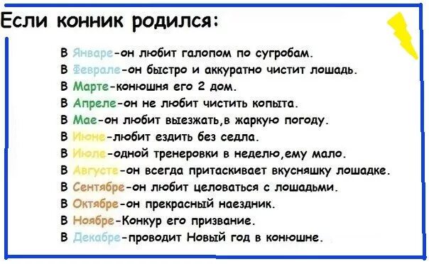 Красивые высказывания о лошадях. Слова конников. Советы для конников. Мемы про лошадей и конников. Всадник с лошадью.