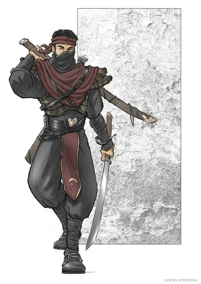 готика ассасины. готика 3 зубен. готика 3 ассасин. готика 3 ассасины. ассасины готика.