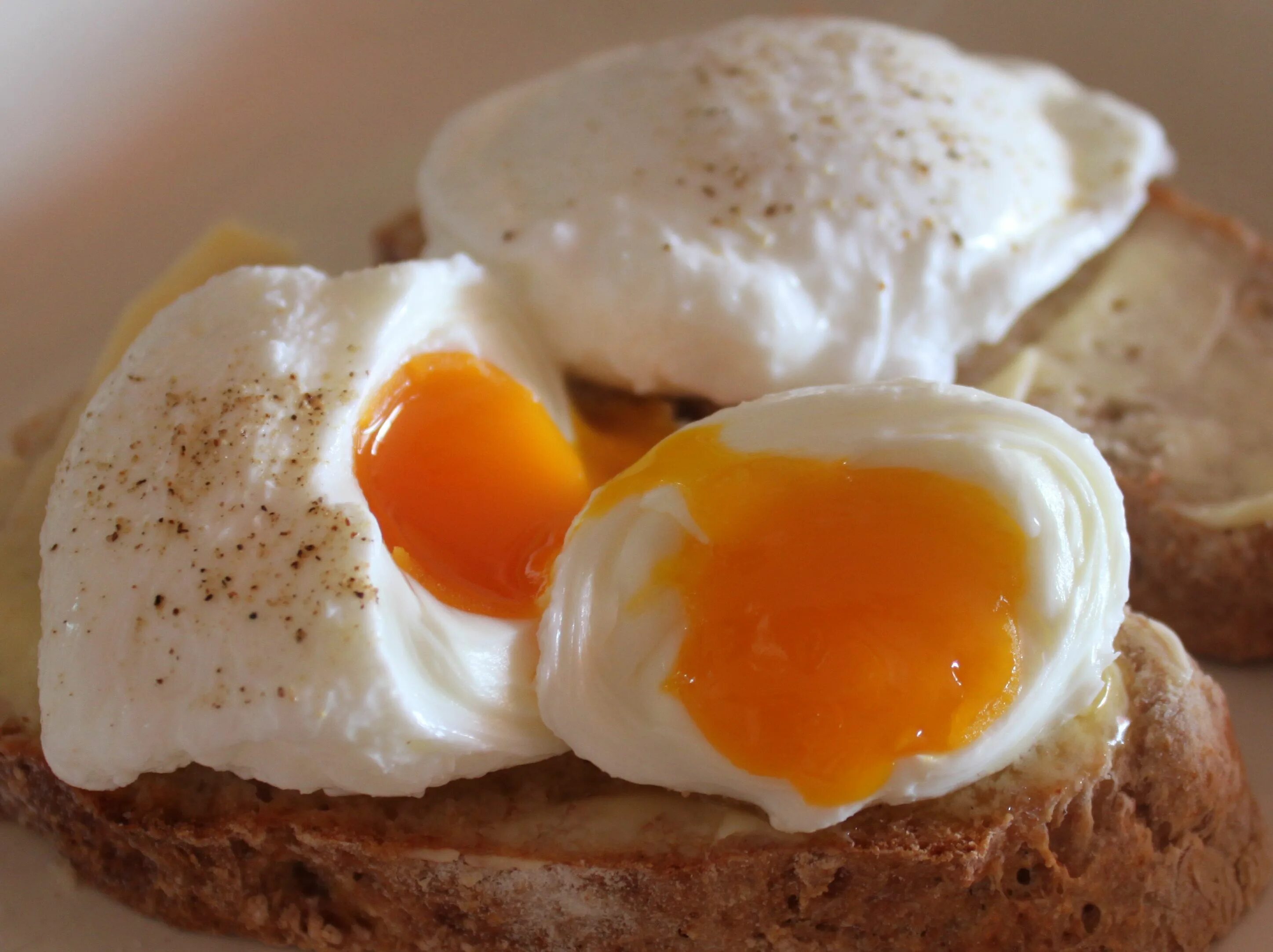 Egg на русском