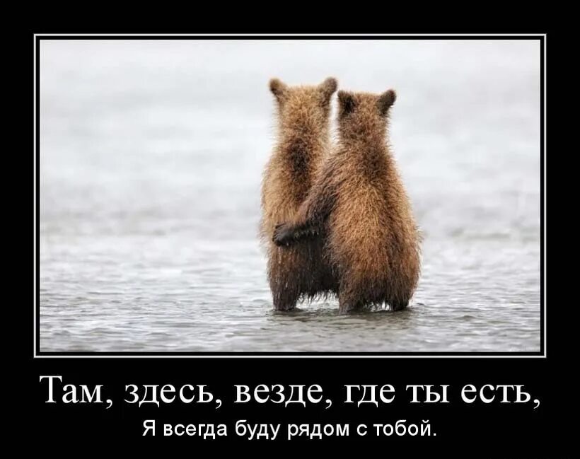 стихи разных авторов. актриса кассандра петерсон. если не нужна. у каждого человека есть свой срок годности. люби жену и детей.