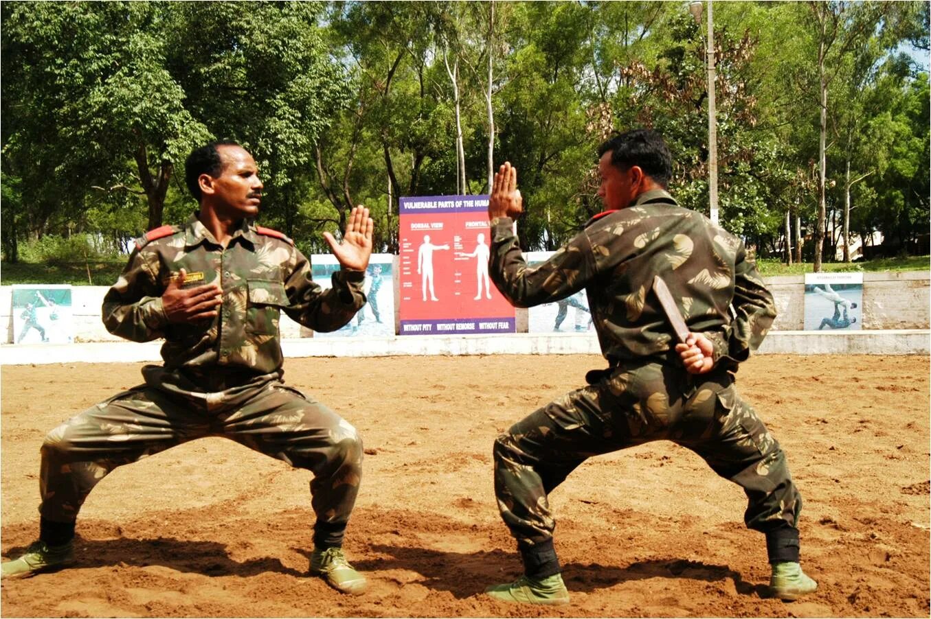 Combat skills. Combat Training Officer Instructor Канада. Комбат в цвете. Милитари ниндзя.