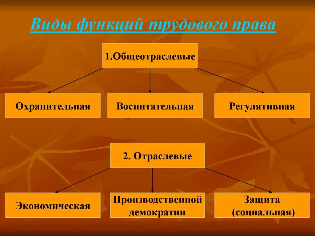 Функции законодательства рф. Трудовое право. Трудовое право виды. Виды трудовых прав.