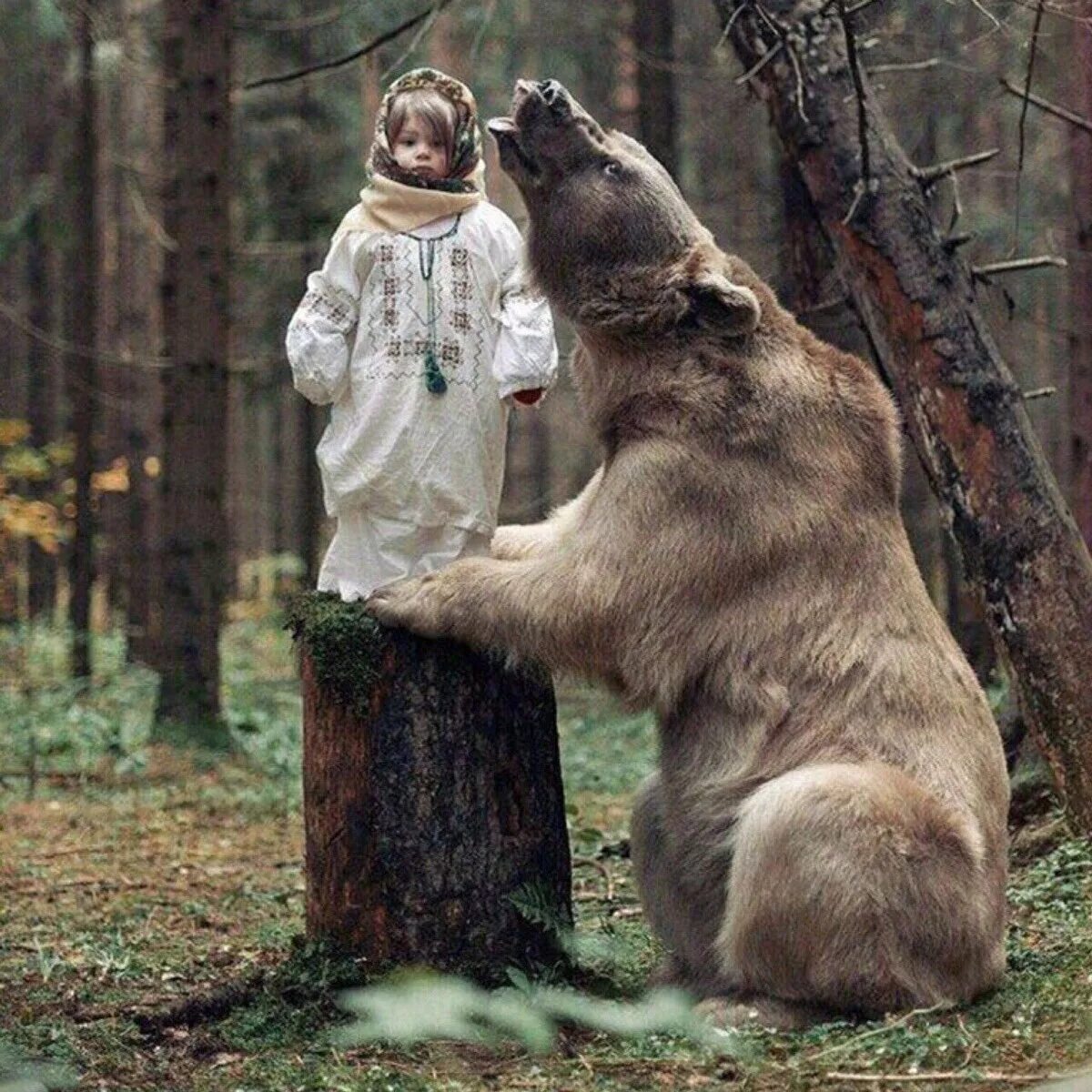 Медведь Россия. Добрый медведь. Фотосессия с медведем.