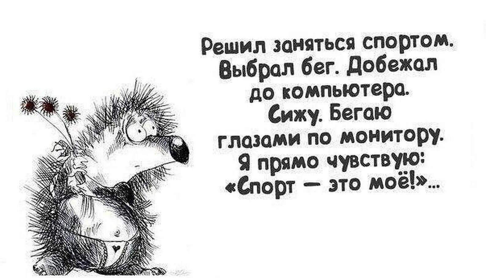 Маленькие глазки еще не потухнули и бегали. Смешные высказывания. Смешные цитаты про жизнь. Шуточные высказывания. Смешные высказывания в картинках.