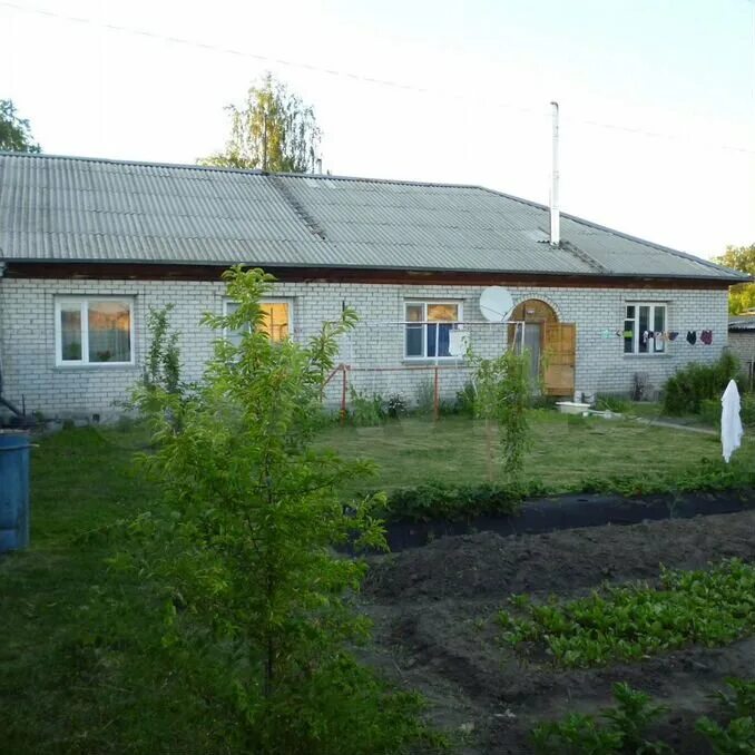 Погода алтайский край смоленский район линевский. Поселок Линевский Алтайского края. Линевский поселок Алтайский край Смоленский район. Деревня Линевское Алтайский край до Смоленского района. Алтайский край Смоленский район Линевский отд Заречная улица.