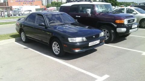 Виста 1993