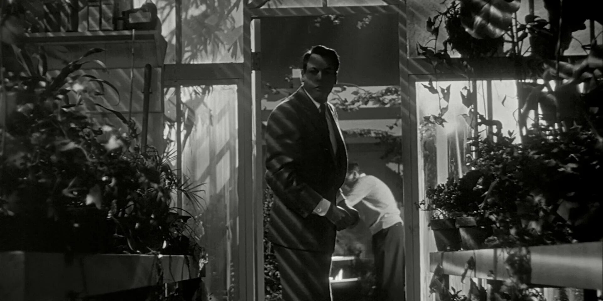 1956 похититель тел. Invasion of the body snatchers 1956. вторжение похитителей тел 1956. похитители тел фильм 1993. вторжение похитителей тел фильм 1993.