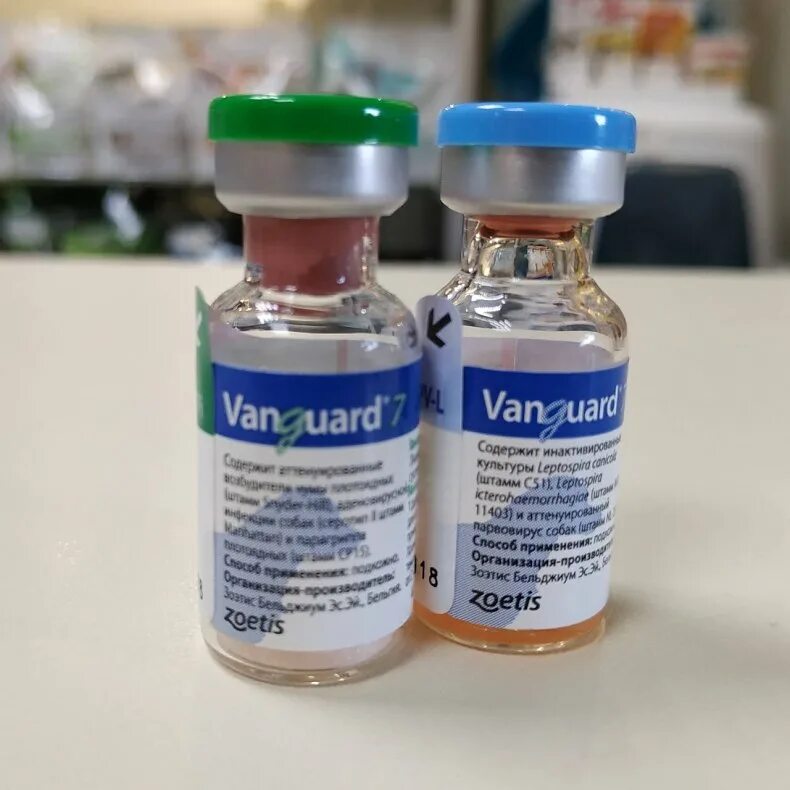 Вакцина авангард. Вангард 7 вакцина для собак. Вангард 5 вакцина для щенков. Вакцина Вангард CPV-L для собак. Авангард 5 вакцина для собак.