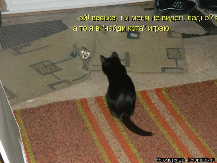 Ладно прощаю. Кушать хочется. Ладно прости меня. Ладно вижу. Есть хочу картинки.