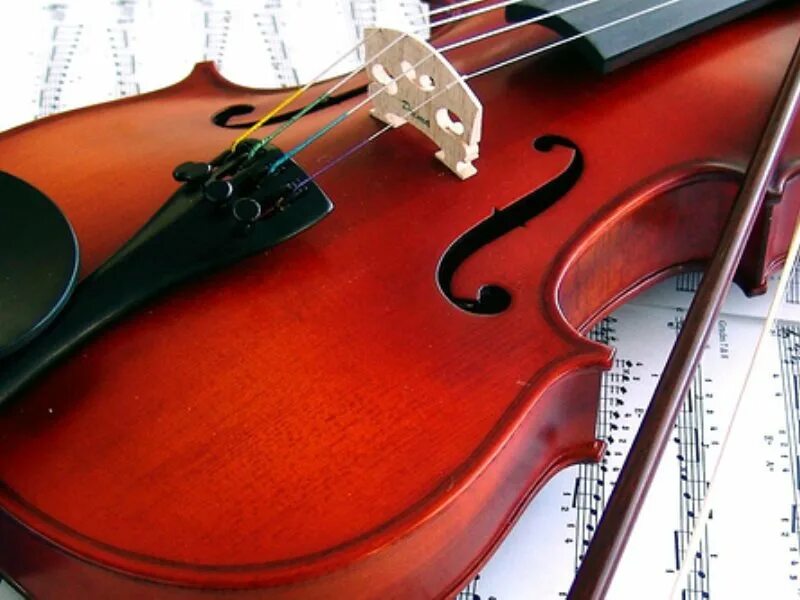 Альт и скрипка. Виола vs скрипка. Большая скрипка. Fiddle Violin разница. Как называют скрипку