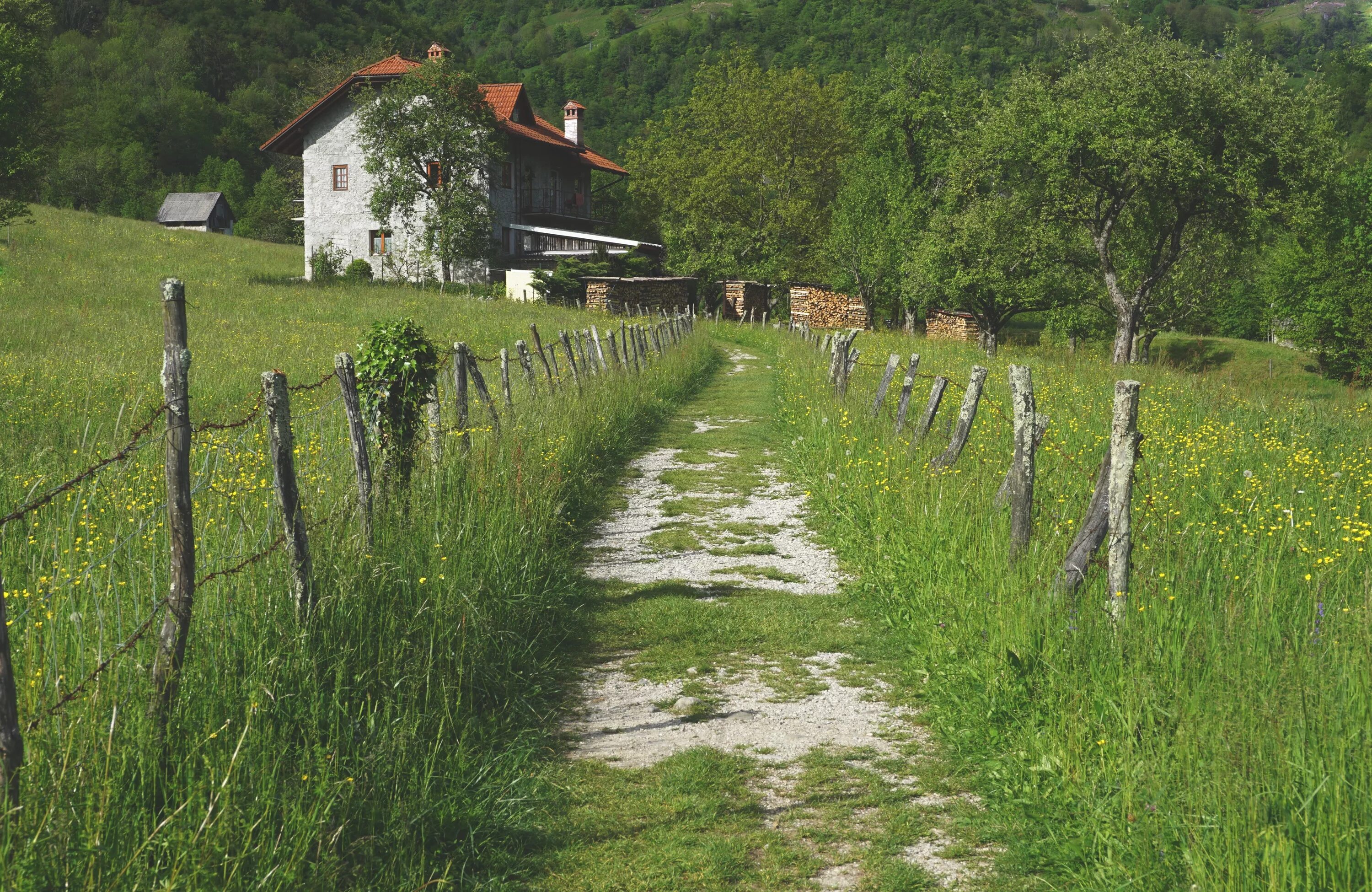 Countryside walks. Сельская местность. Природа сельской местности. Деревня летом. Пейзаж европейской деревни.