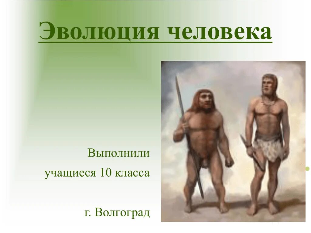 Хомо сапиенс когда возник. Вид человек разумный (homo sapiens). Эволюция человека хомо сапиенс. Человек разумный новый homo sapiens sapiens. Хомо сапиенс хомо Эректус хомо хабилис хронология.