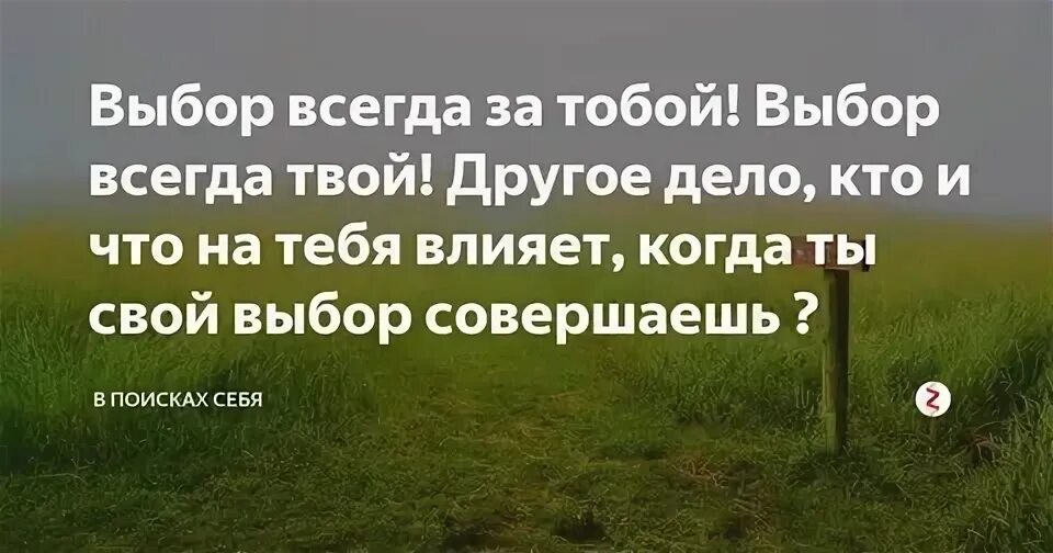 Выбор всегда за тобой. Выбор всегда за тобой цитаты. Выбор за тобой цитаты. У тебя всегда есть выбор цитаты.