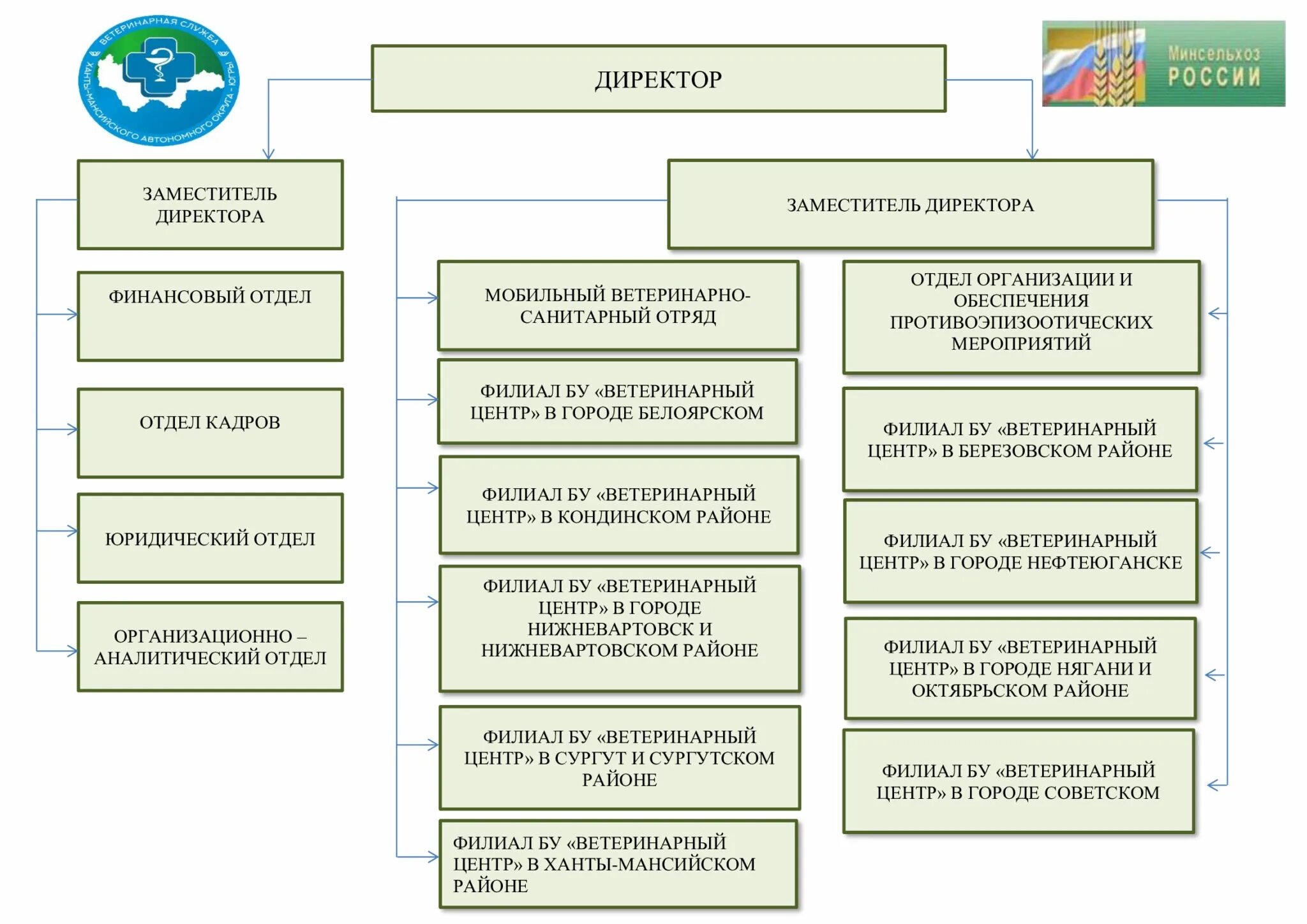 Ветеринарные организации рф. Схема изменений структура учреждения. Структура организации научного центра. Структура казенного учреждения. Справка о структуре организации.
