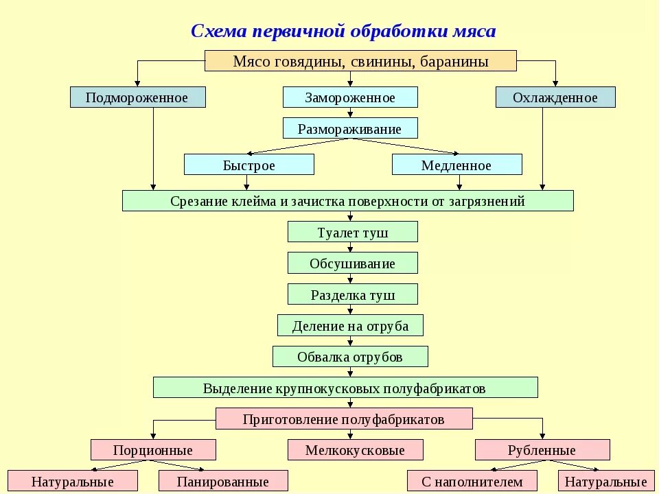 Технологическая схема первичной обработки говяжьей туши. Технологическая схема механической кулинарной обработки мяса. Технологический процесс обработки мяса. Составьте схему первичной обработки мяса. Технологическая обработка производства