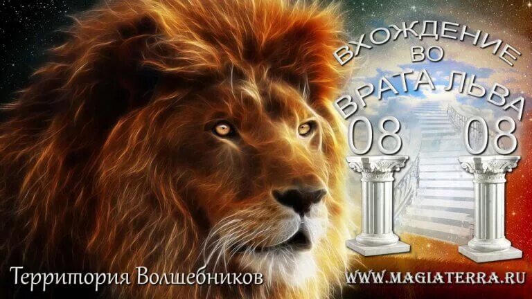 Лев 8к. 08. Врата льва 2021. Звездные врата льва. Лев 8.
