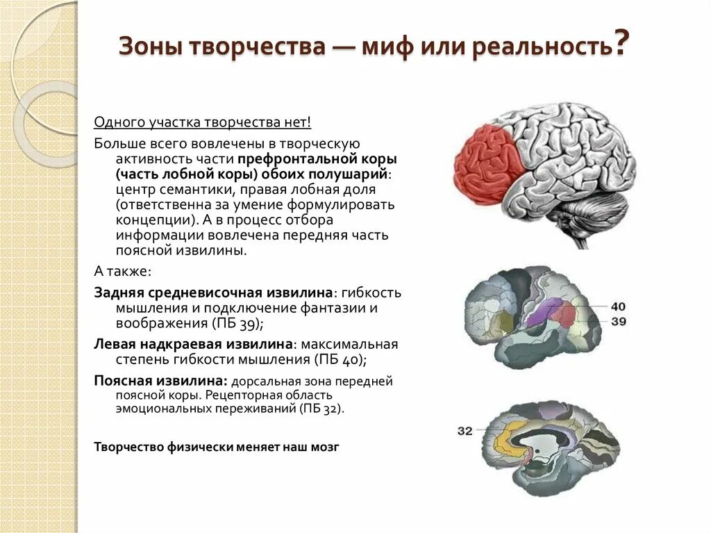 Активность префронтальной коры. Отключение мозга