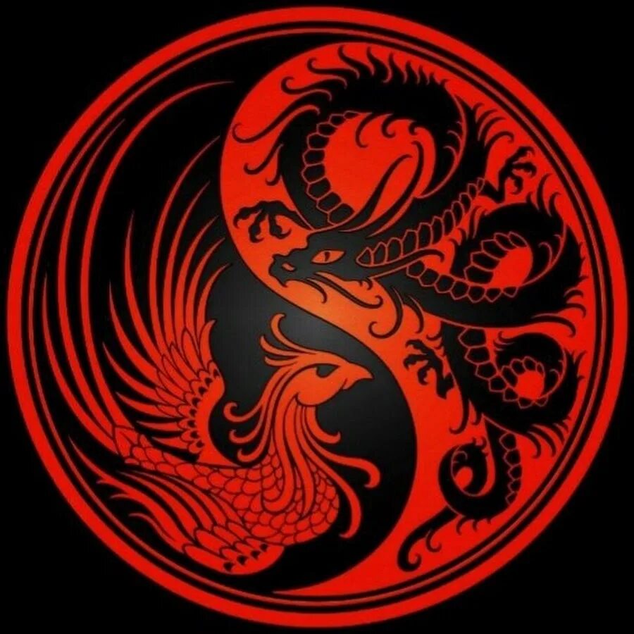 Ред феникс. Инь Янь символ дракон и Феникс. Красный китайский дракон на черном фоне. Черно красный дракон. Дракон на черном фоне.