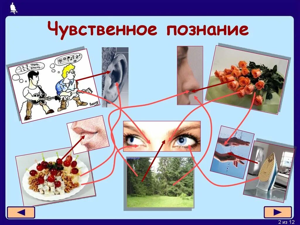 Познание с помощью чувств. Чувственное познание. 2. чувственное познание. чувственное познание рисунок. чувственное познание для презентации.