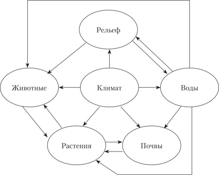 Схема взаимосвязь природных компонентов. Составьте схему взаимосвязь природных компонентов. Взаимосвязь компонентов природного комплекса схема. Составить схему взаимосвязь природных компонентов. Примеры взаимосвязей между компонентами природы в тайге