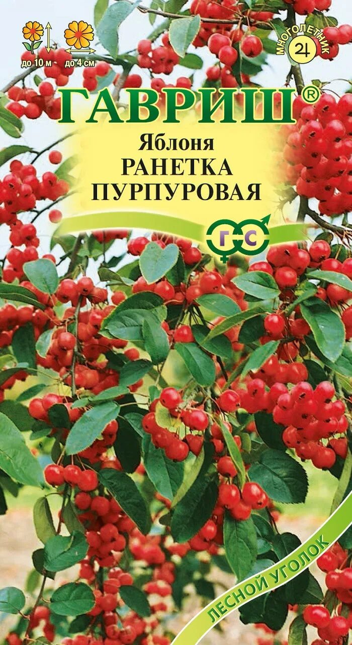 Яблоня ранетка купить. Ранетка пурпуровая семена. Яблоня Ранетка пурпуровая. Гавриш яблоня. Семена яблони Ранетки.