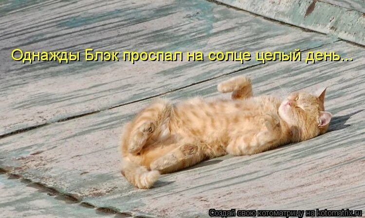 Я не обиделась мем. Если че. Z yf. Туфли с надписями женские. Лежу и на солнышко гляжу.