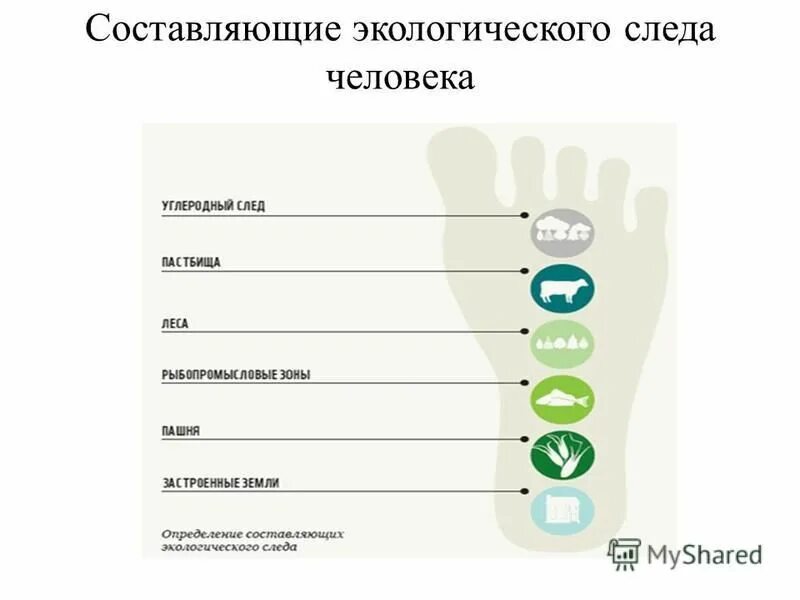 Проект углеродный след. Составляющие экологического следа. Экологический след. Основные составляющие экологического следа. Экологический след и его составляющие.