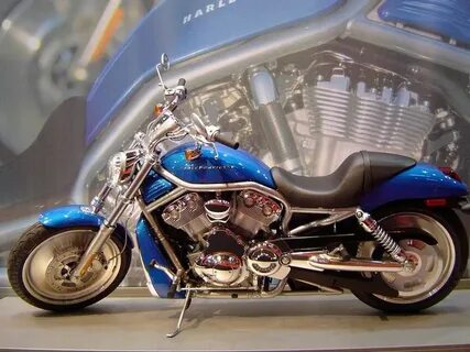 Harley x